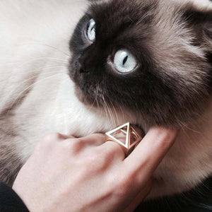 Gold pyramid ring of person petting cat.